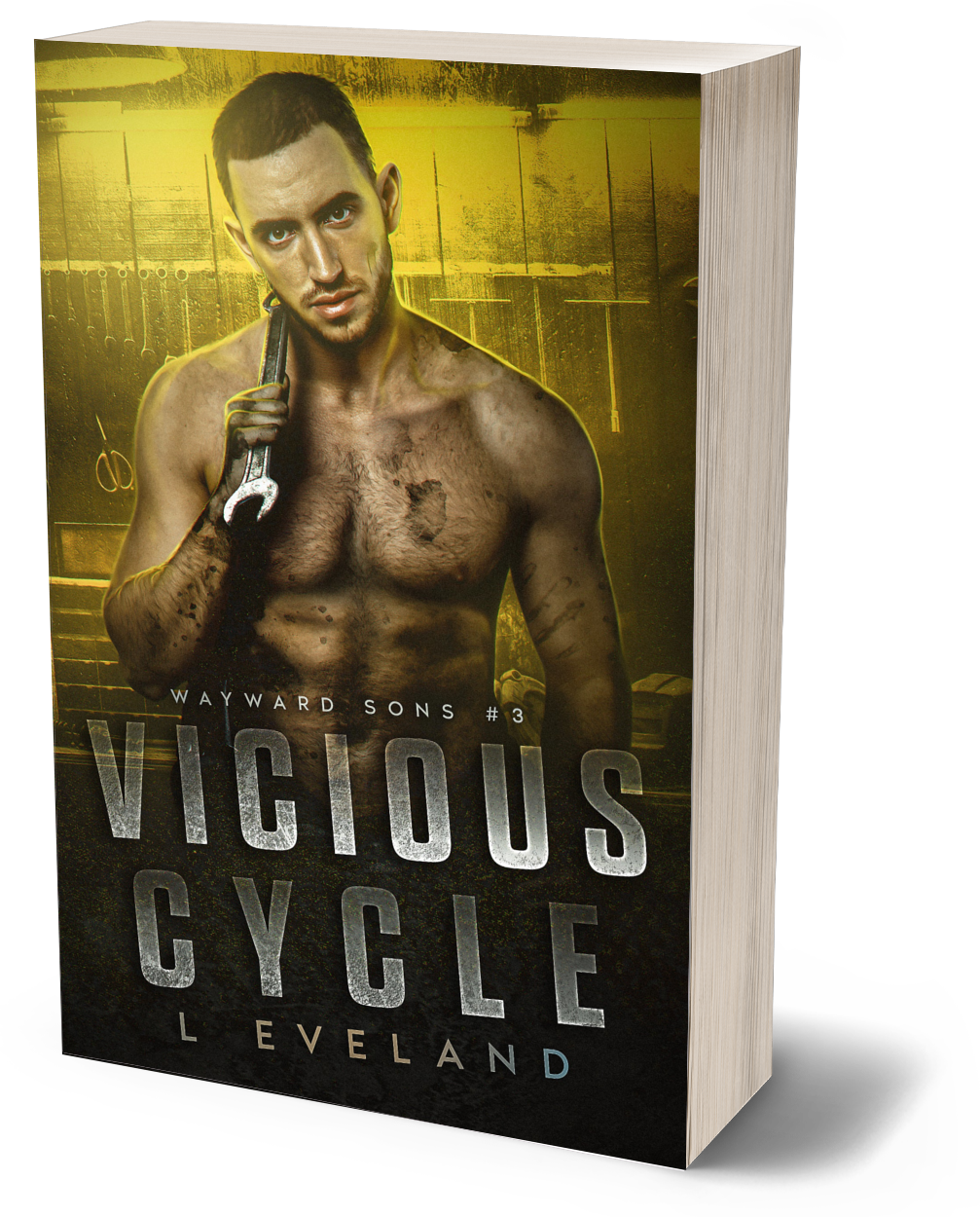 Vicious Cycle Signed Paperback